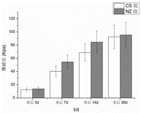 Novel degradable supporter for intestinal canal anastomosis surgery