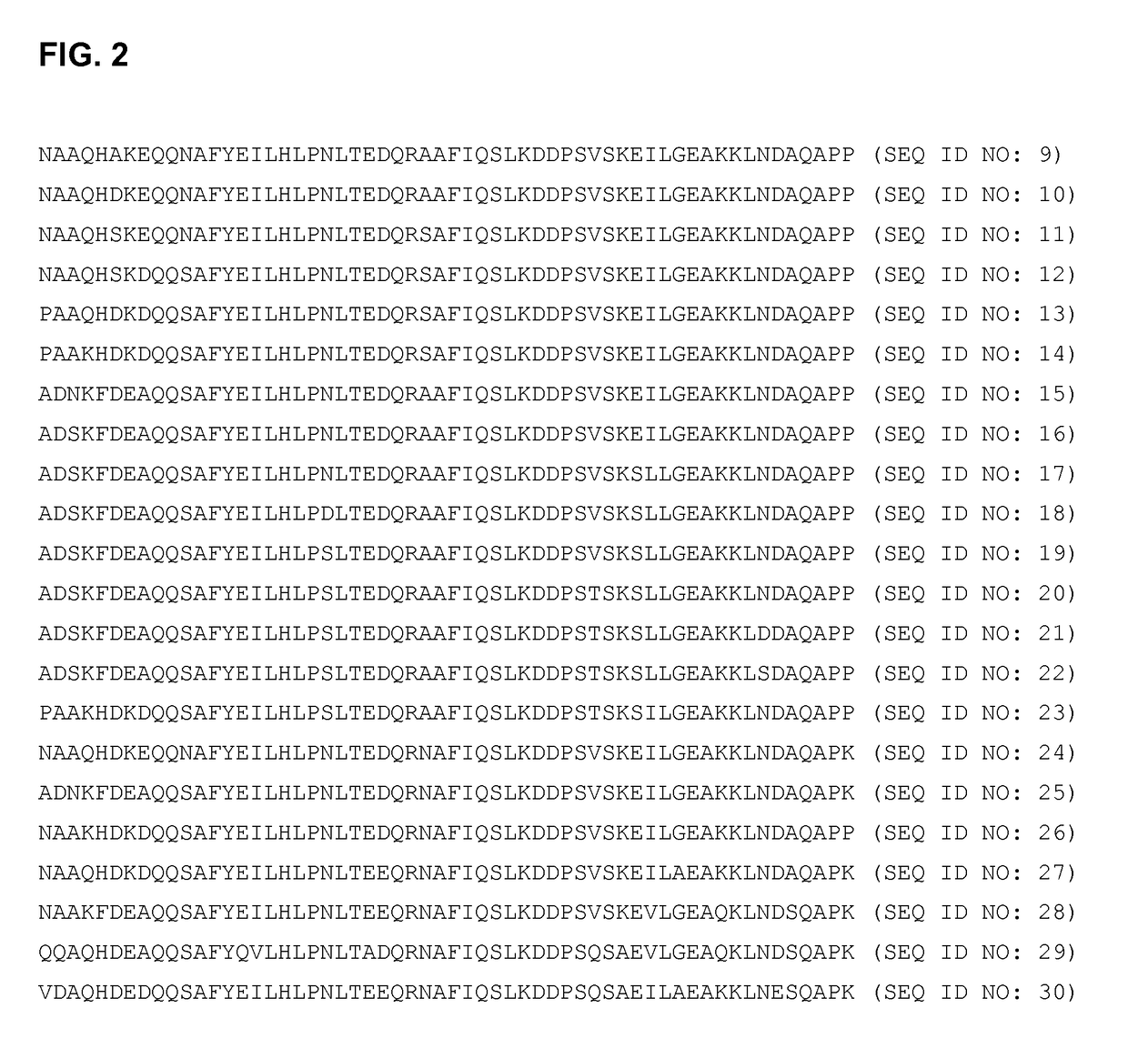 Novel immunoglobulin-binding proteins and their use in affinity purification