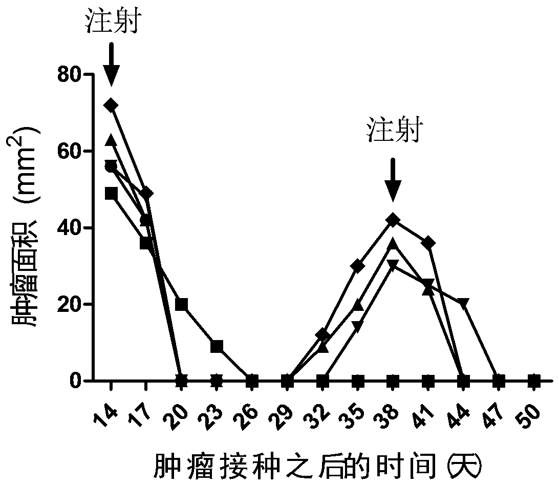 Tumor immunotherapy method