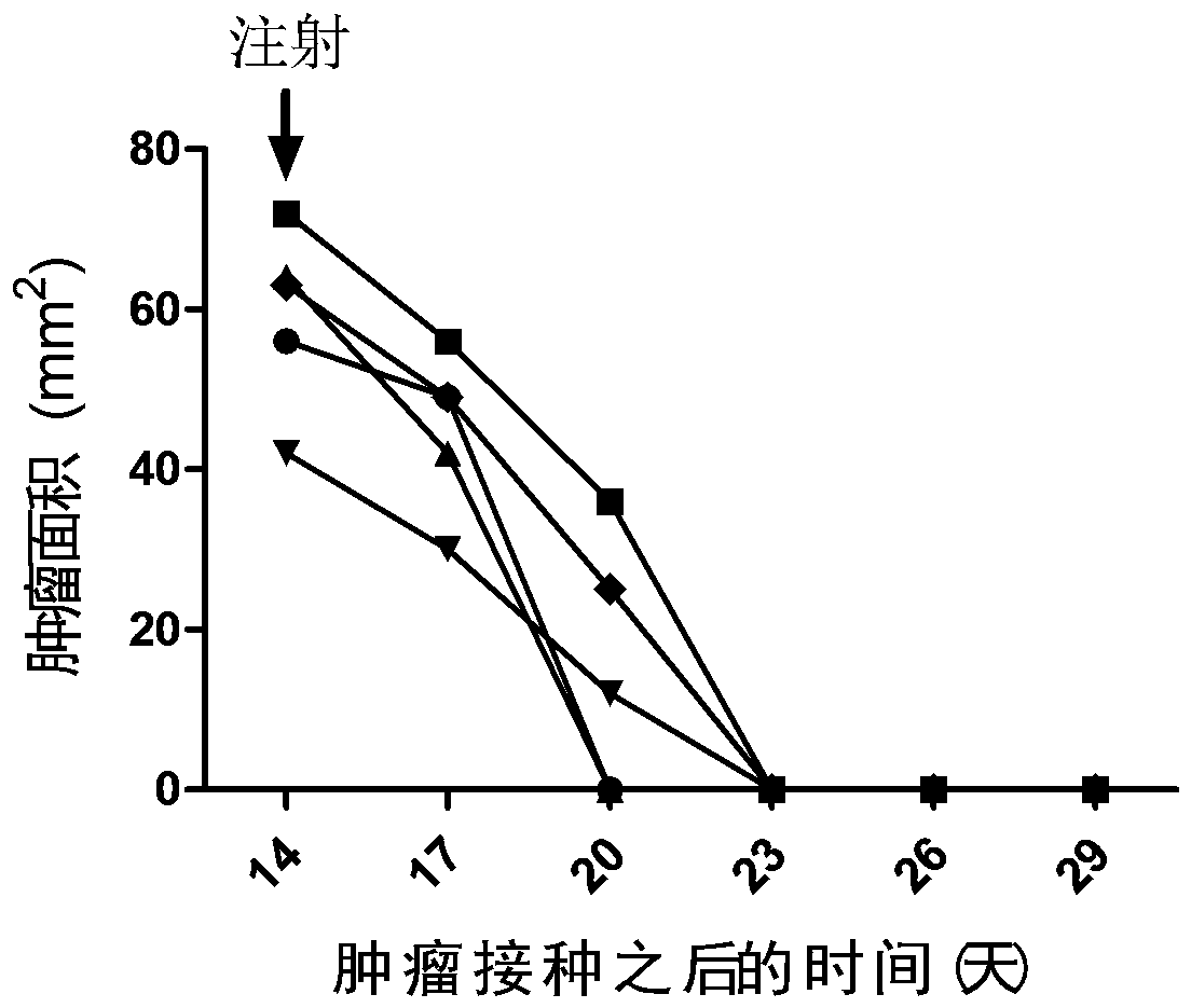 Tumor immunotherapy method