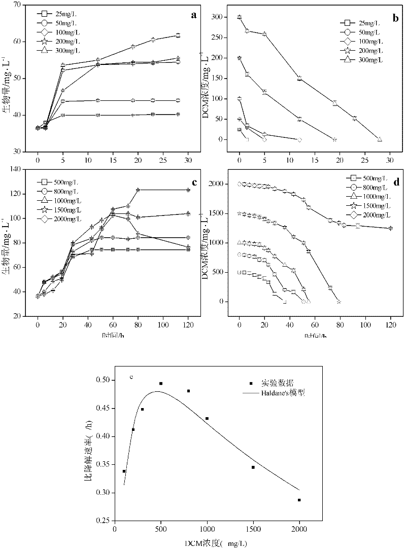 Pandora bacterium with dichloromethane degrading capability and application thereof