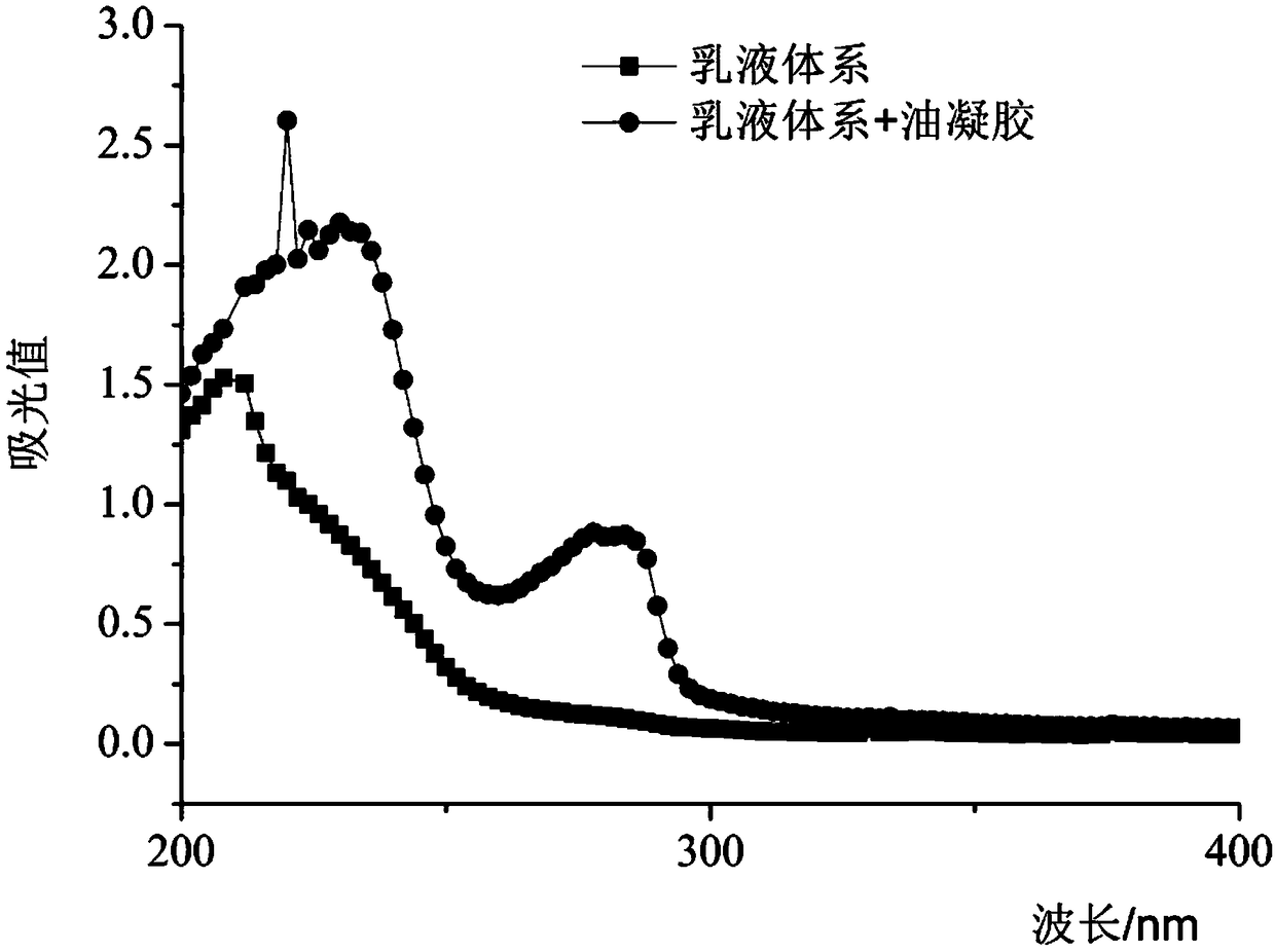 Camellia oil sunscreen skin care product and preparation method thereof