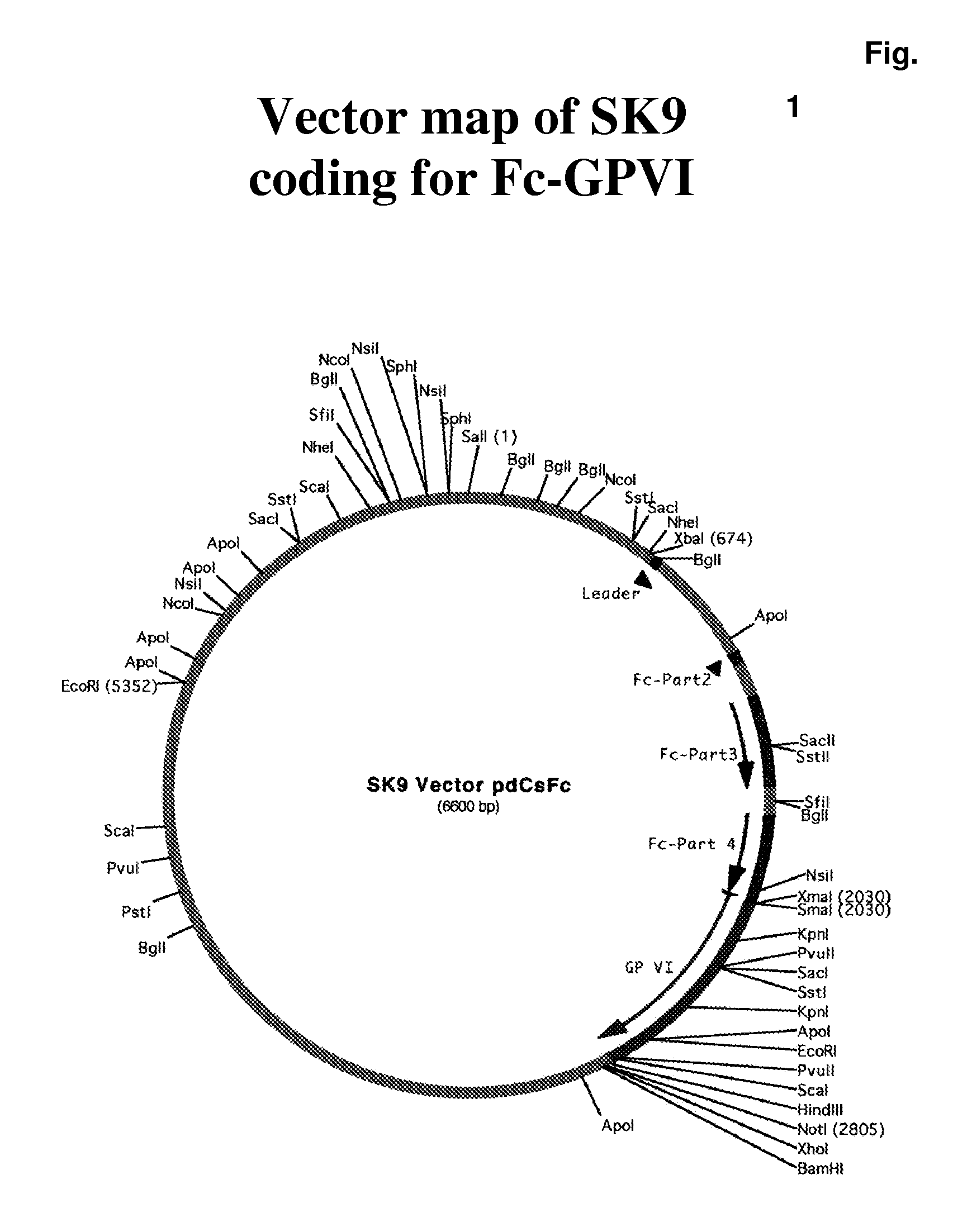 Glycoprotein VI fusion proteins