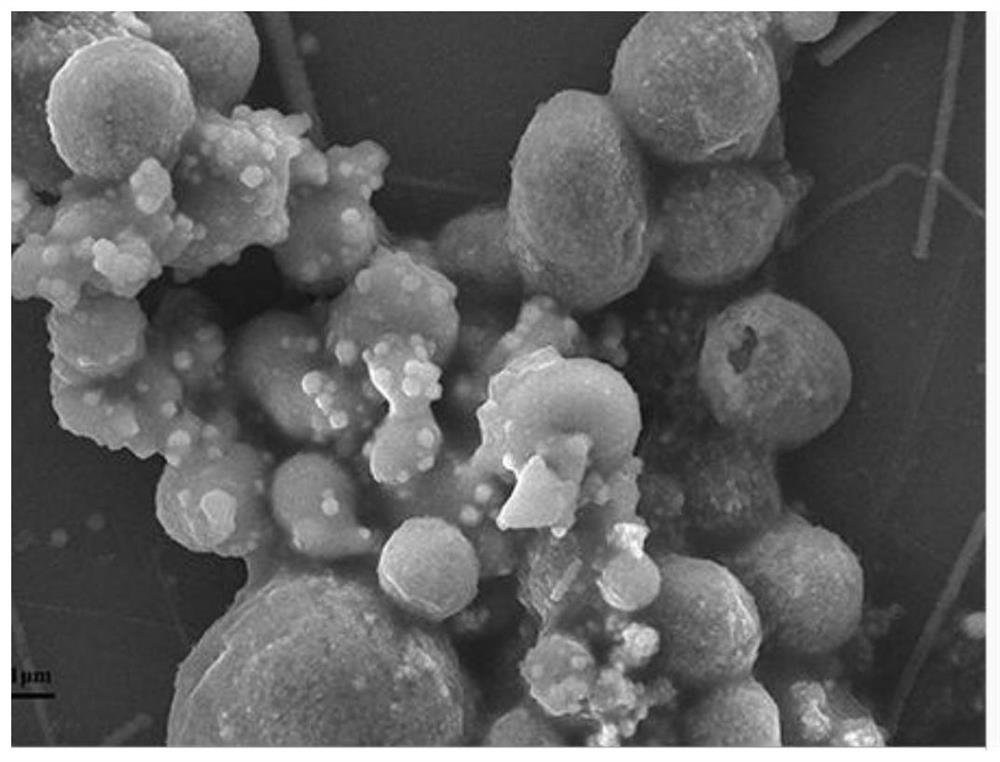 Fluorescence-colorimetric dual-signal detection of Fe&lt;3+&gt; and GSH by MoSe2@Fe nanocomposite material