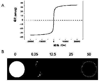 Targeted nano-magnetic resonance contrast agent for brain epileptic foci, preparation and application thereof