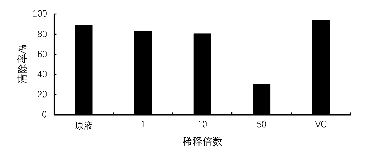 Functional beverage containing birch mushroom extract