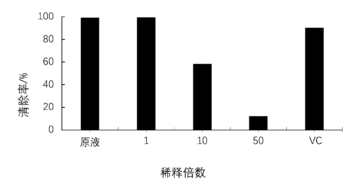 Functional beverage containing birch mushroom extract