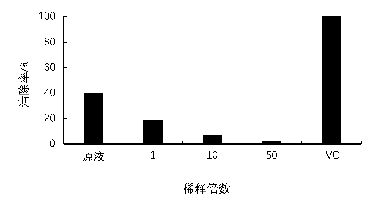 Functional beverage containing birch mushroom extract