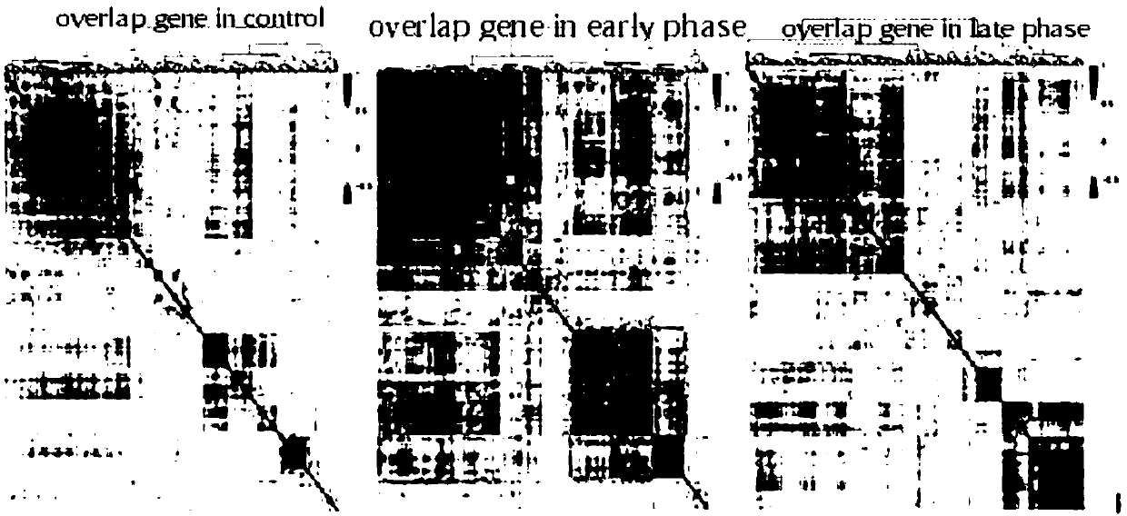 Identification of early diagnosis markers of lung adenocarcinoma based on co-expression similarity, and constructing method of risk prediction model