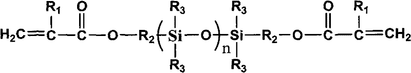 UV (Ultraviolet)/moisture double cured silicon rubber and preparation method thereof