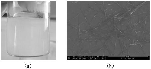 Temperature/pH double-sensitive high-strength nano composite hydrogel and preparation method thereof