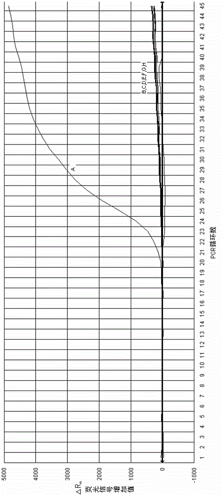 A reagent for assisting identification of tobacco ringspot virus and its application