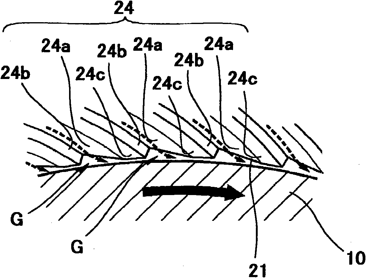 Oil seal