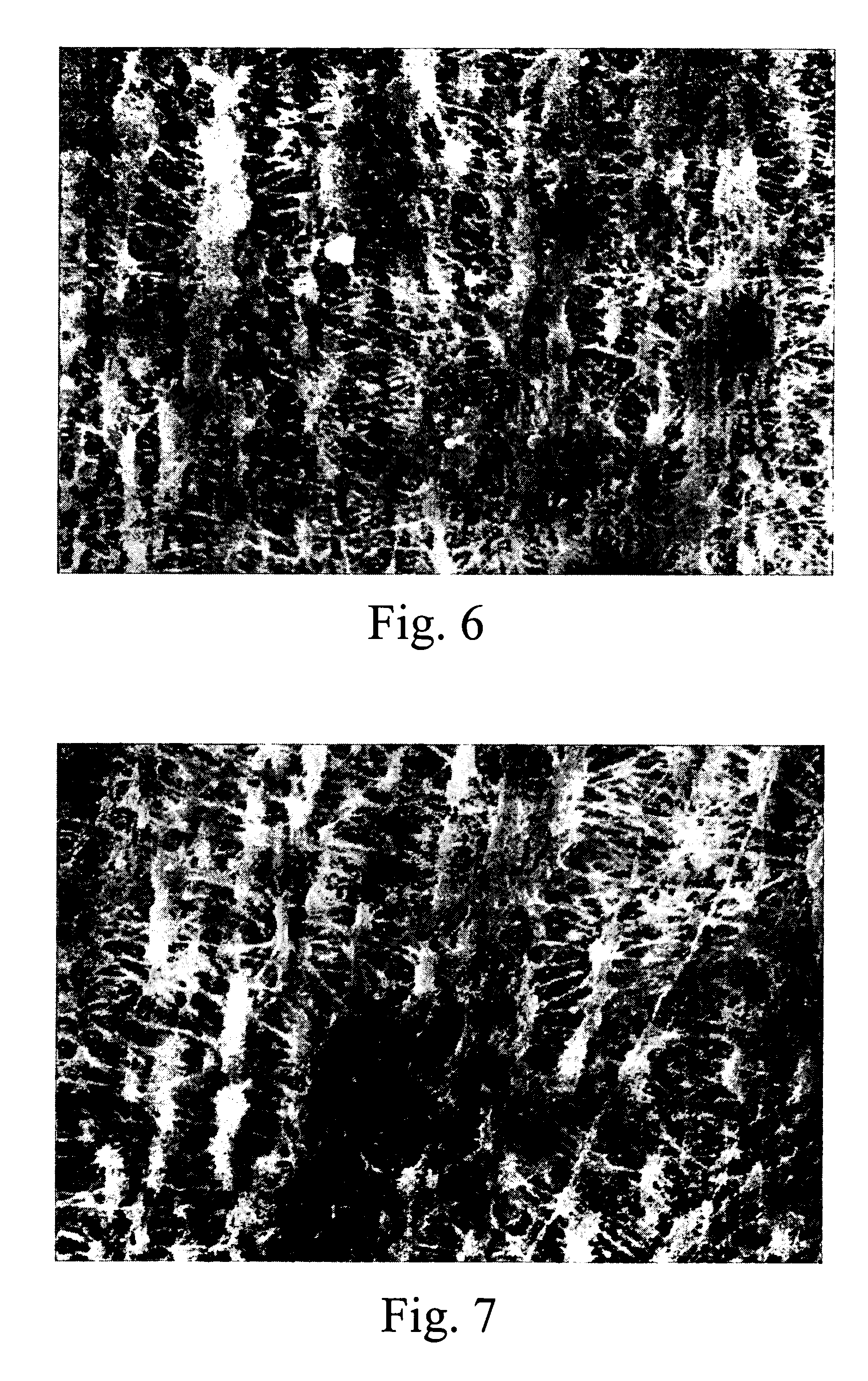 Porous membrane structure and method