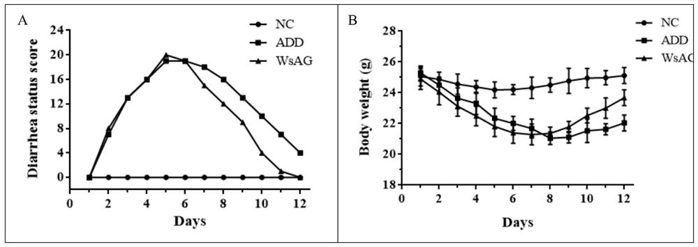 Application of American ginseng in forest mountain to preparation of medicine for treating antibiotic-associated diarrhea