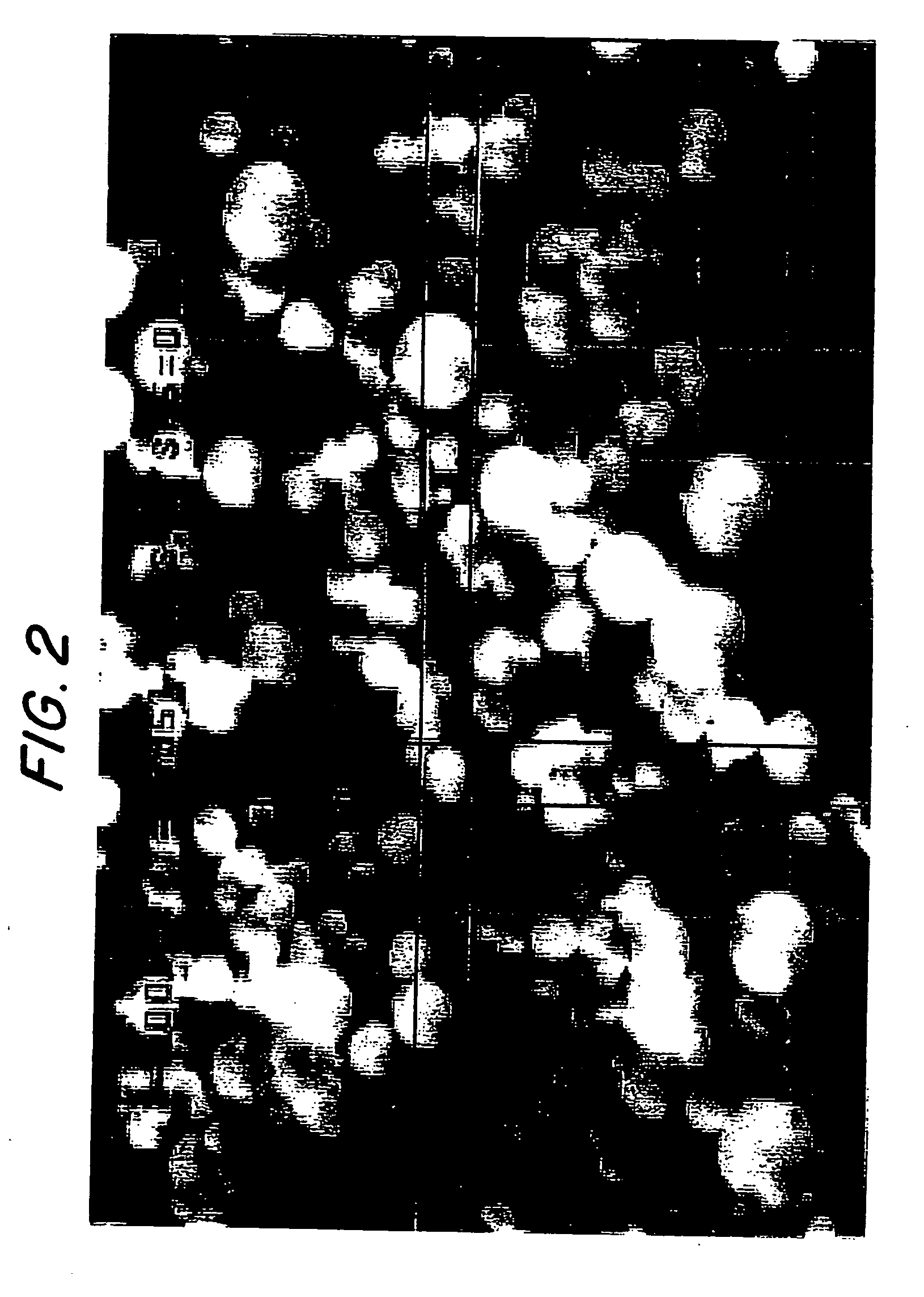 Boron nitride particles of spherical geometry and process for making thereof