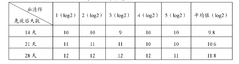 Preparation method of chicken infectious bronchitis virus HA antigen