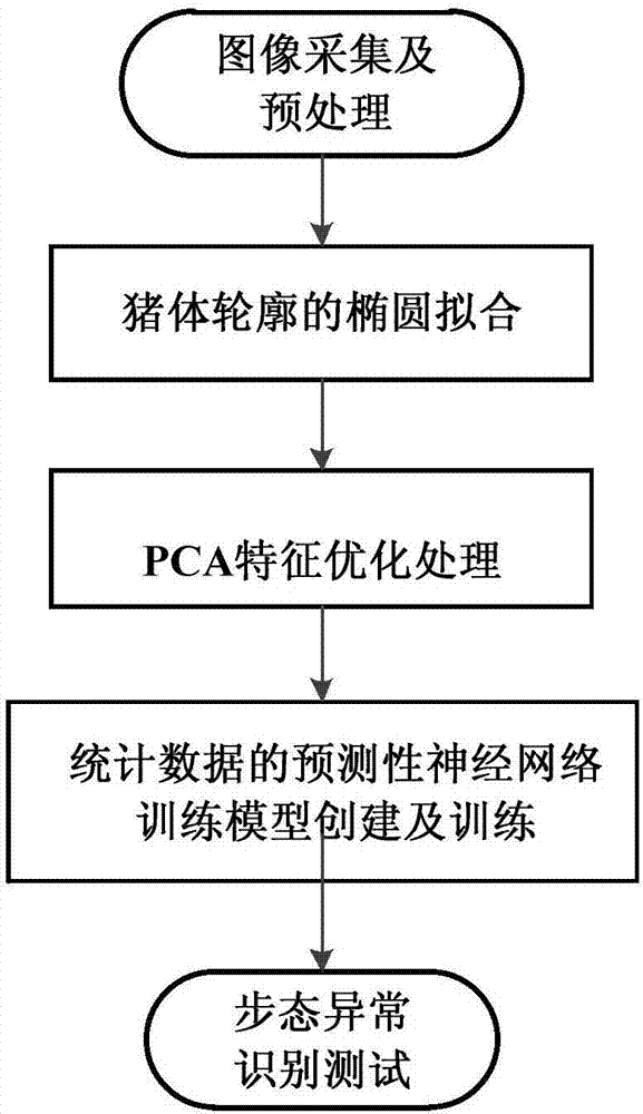 Pig gait anomaly detection method based on ellipse fitting and predictive neural network