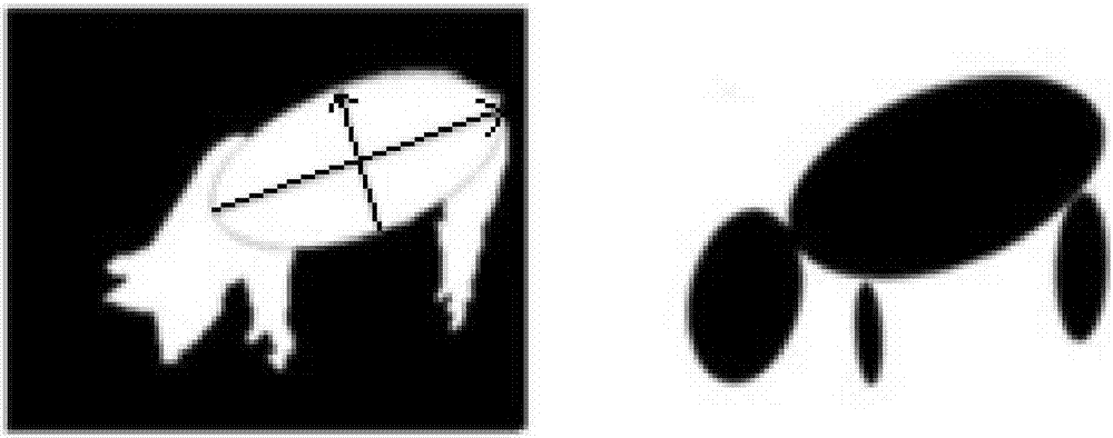 Pig gait anomaly detection method based on ellipse fitting and predictive neural network