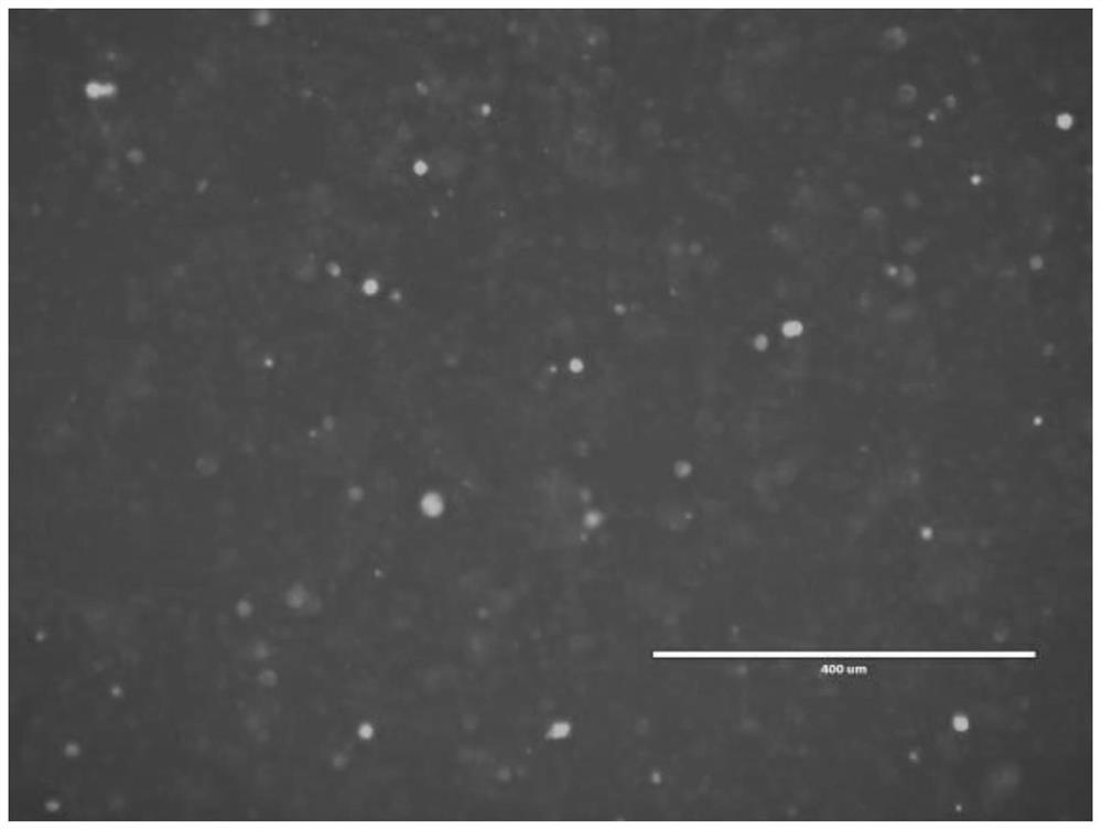 Recombinant adenovirus for expressing African swine fever virus EP153R-EP402R protein and construction method of recombinant adenovirus