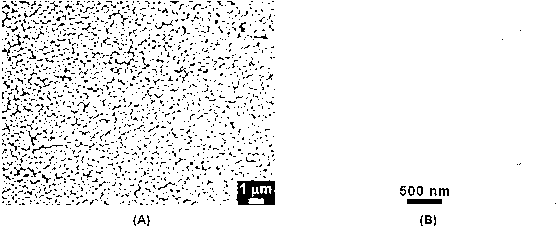 Template-free preparation method of polymer hollow colloidal sphere