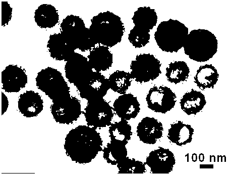 Template-free preparation method of polymer hollow colloidal sphere