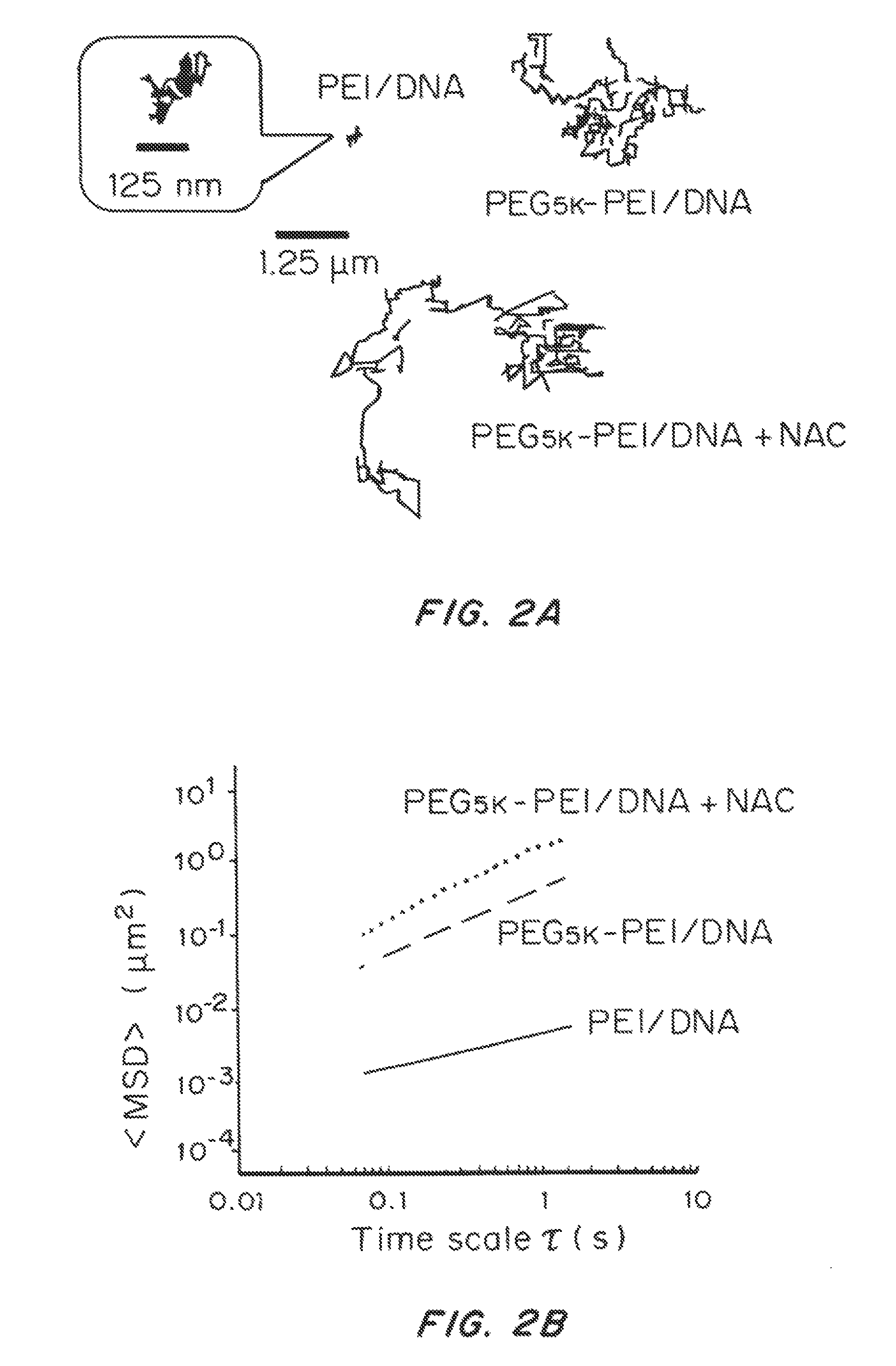 Mucus penetrating gene carriers