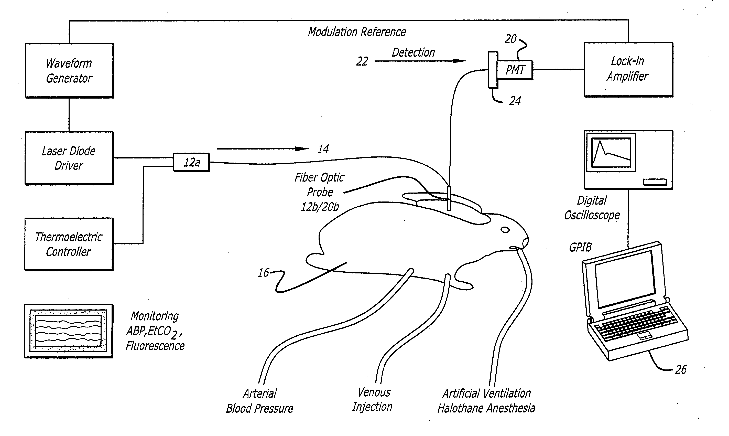 System for Repetitive Measurements of Cardiac Output in Freely Moving Individuals