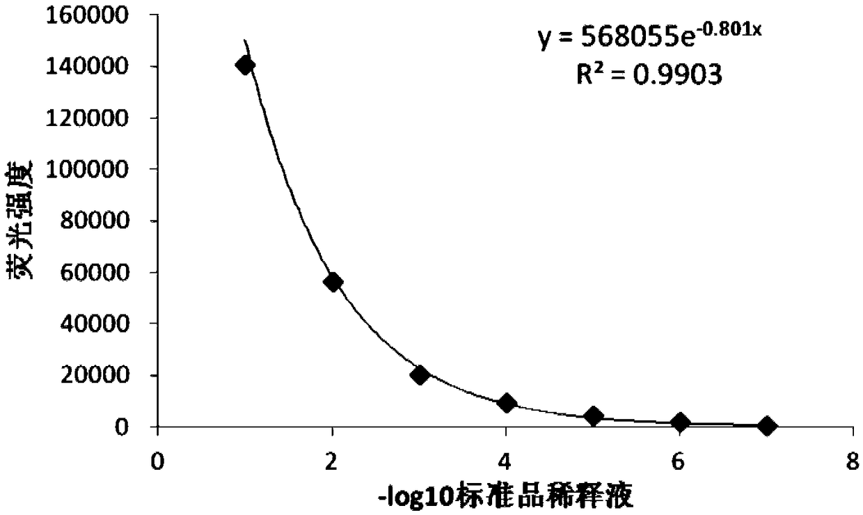 Sheep interferon Tau biological activity detection method and application thereof