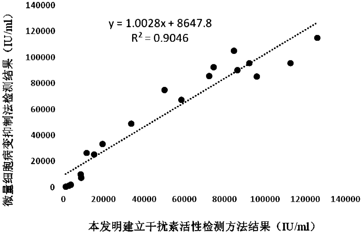 Sheep interferon Tau biological activity detection method and application thereof