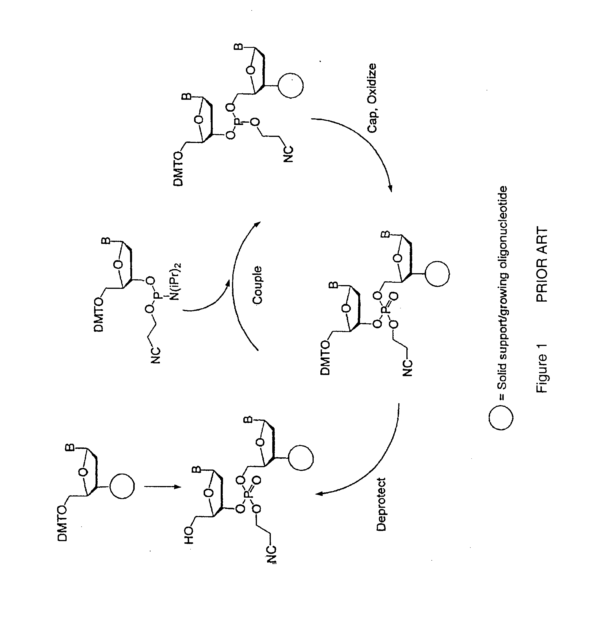 Precursors for two-step polynucleotide synthesis