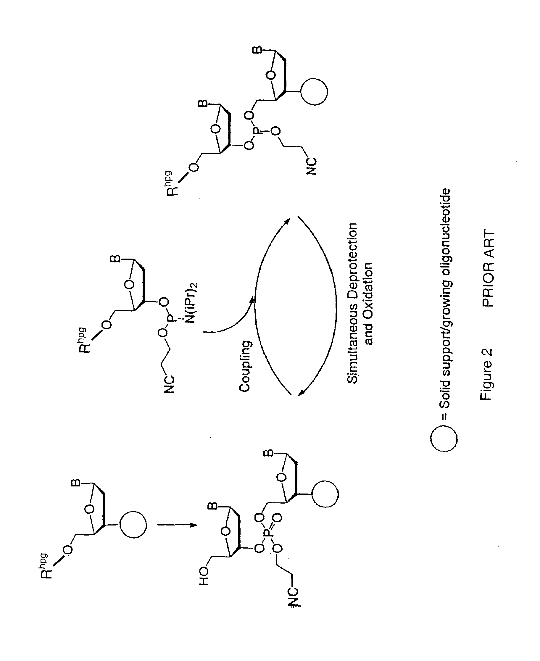 Precursors for two-step polynucleotide synthesis