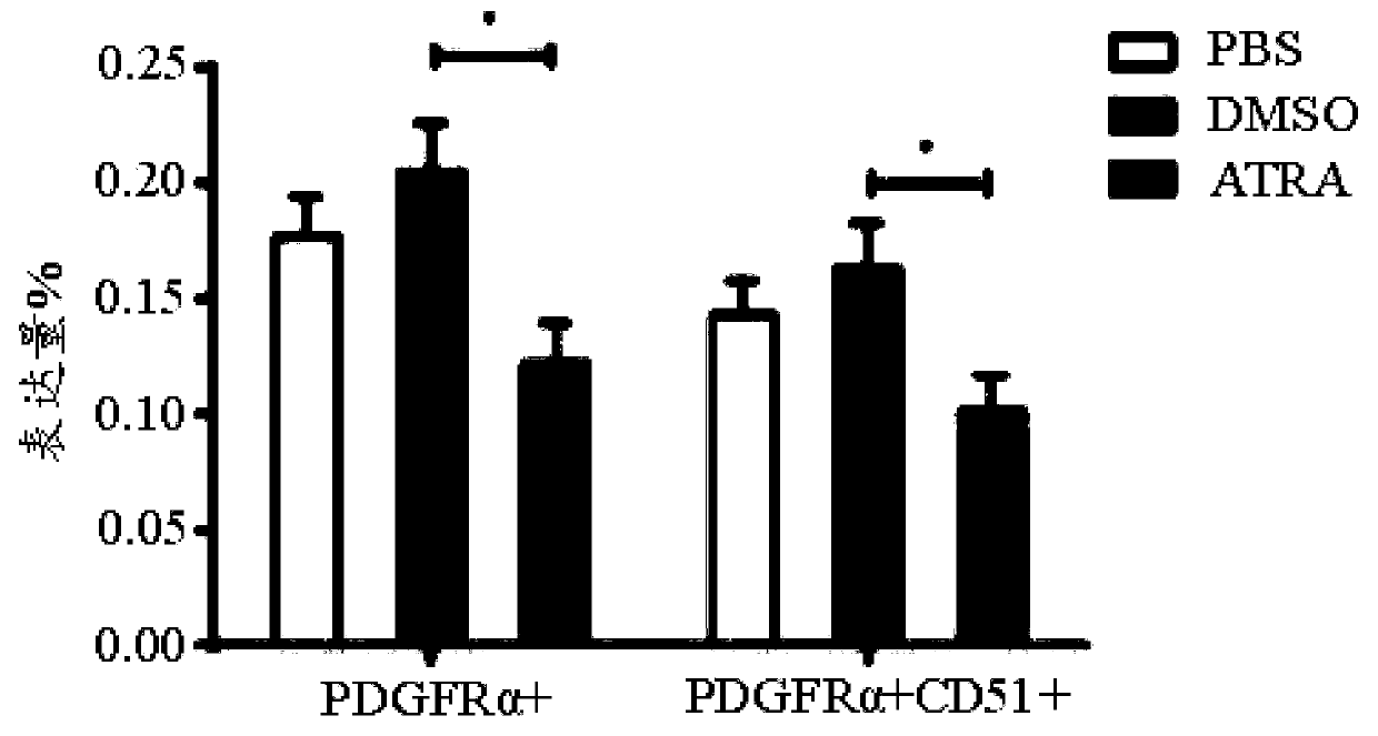 Application of all-trans retinoic acid to mesenchymal stem cell polarization regulation