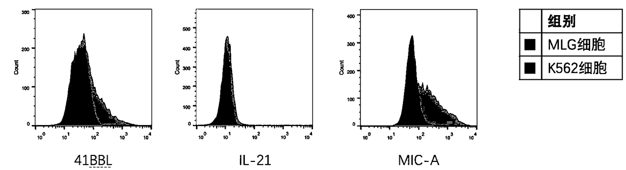 Recombinant lentiviral expression vector, reconstitution cell and application of reconstitution cell to culturing natural killer cell