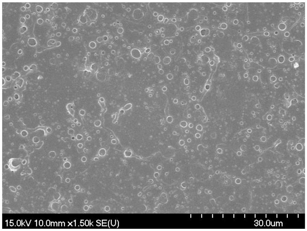 Cinnamaldehyde-containing emulsion for inhibiting growth of aspergillus ochraceus and preparation method thereof