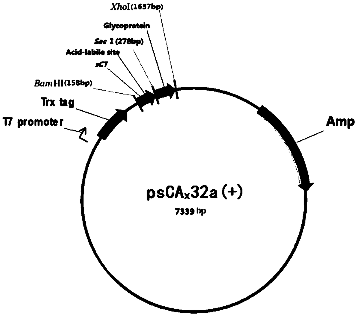 Formic acid cleavage site peptides and their related biomaterials and their application in the production of calcitonin