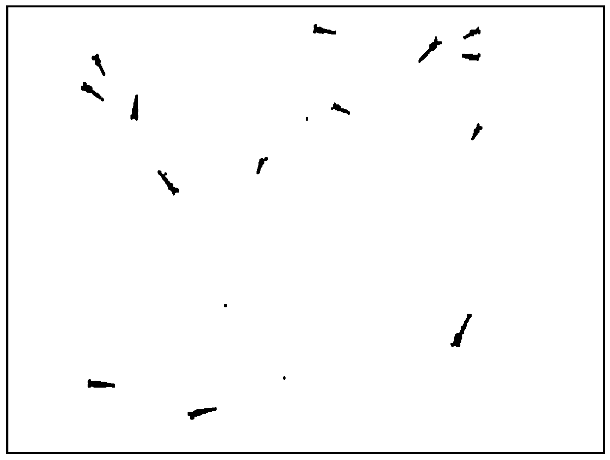 Shrimp fry positioning method