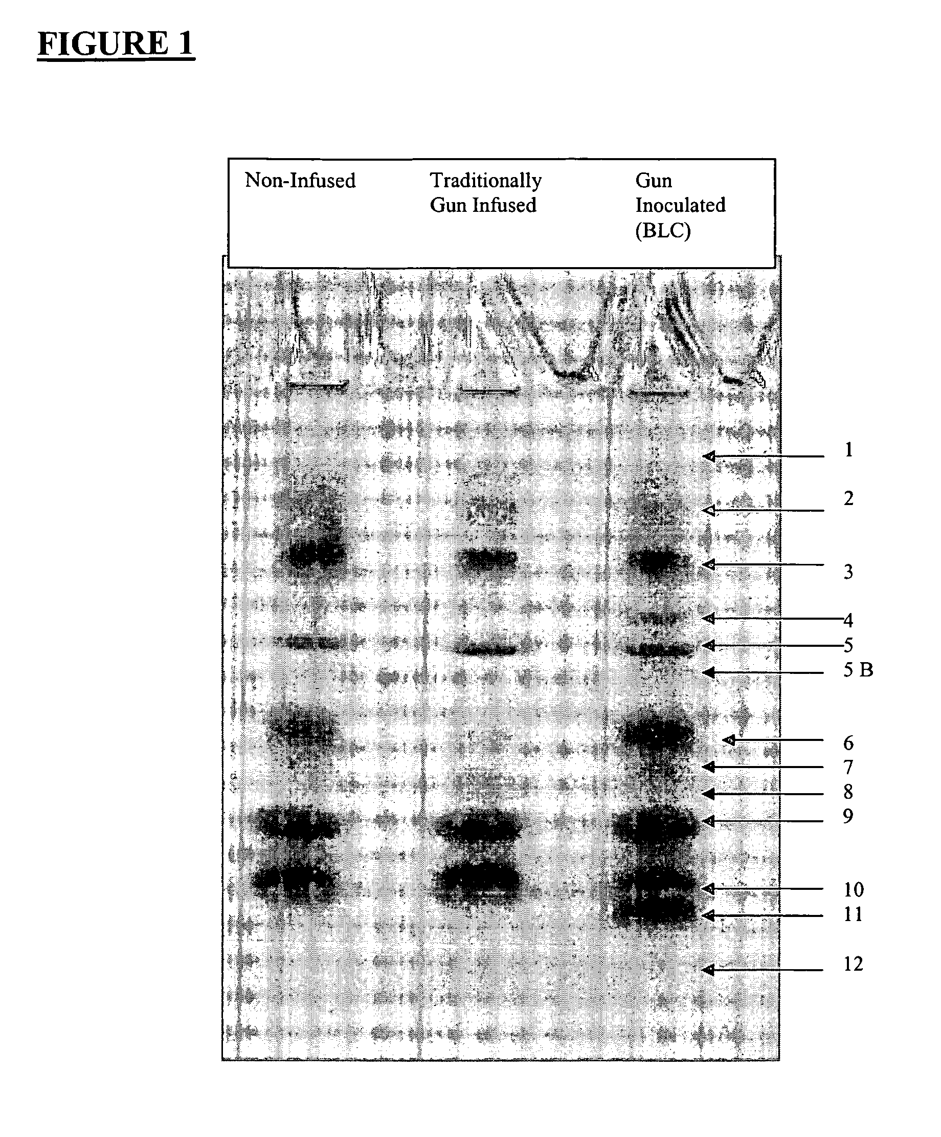 Immunodynamic complexes and methods for using and preparing such complexes