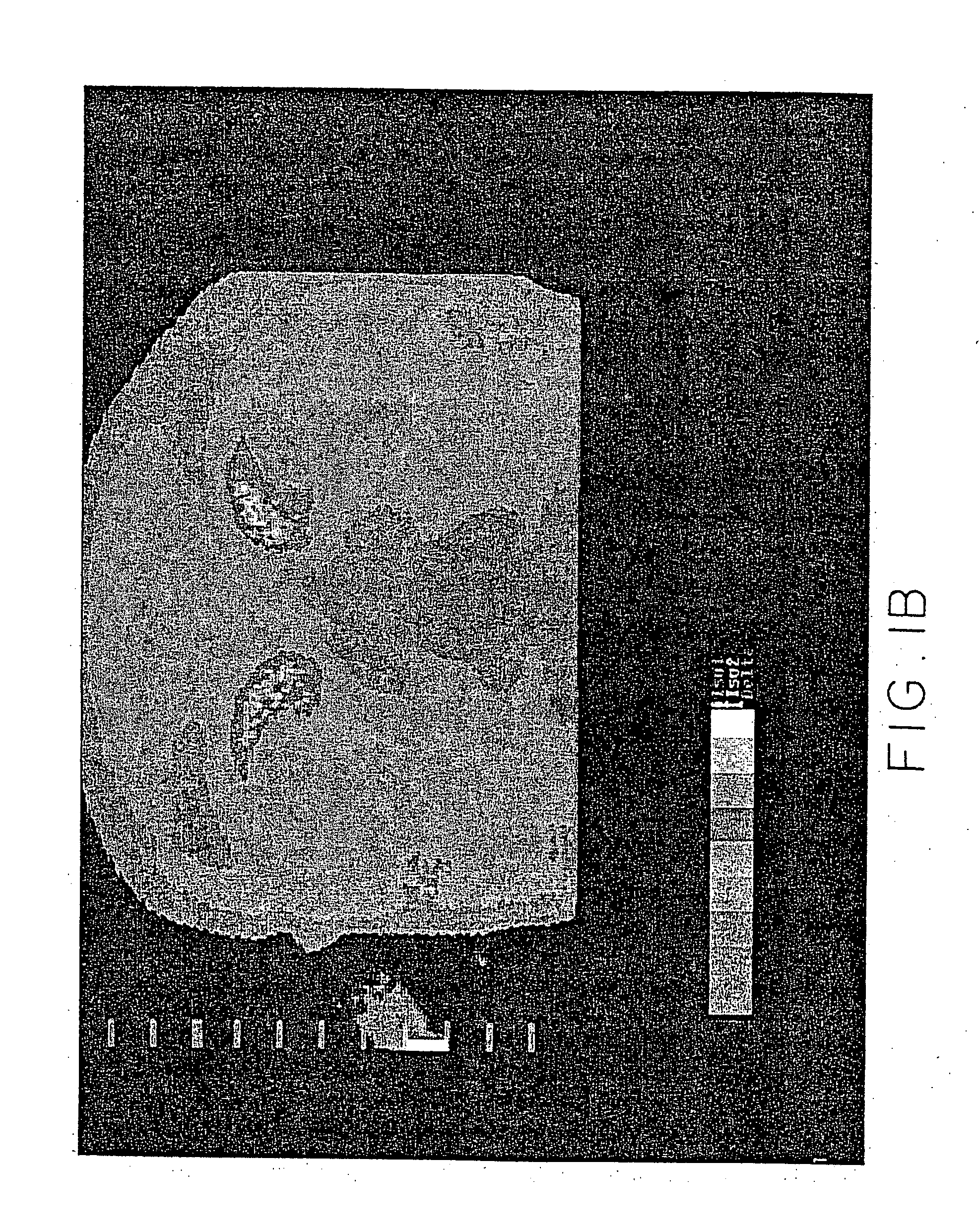 Apparatus and method for measuring biologic parameters