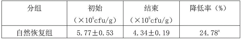 Lactic acid bacterium tablet and preparation method thereof