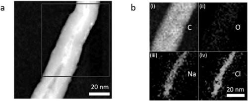 Carbon-based material based ion collection method