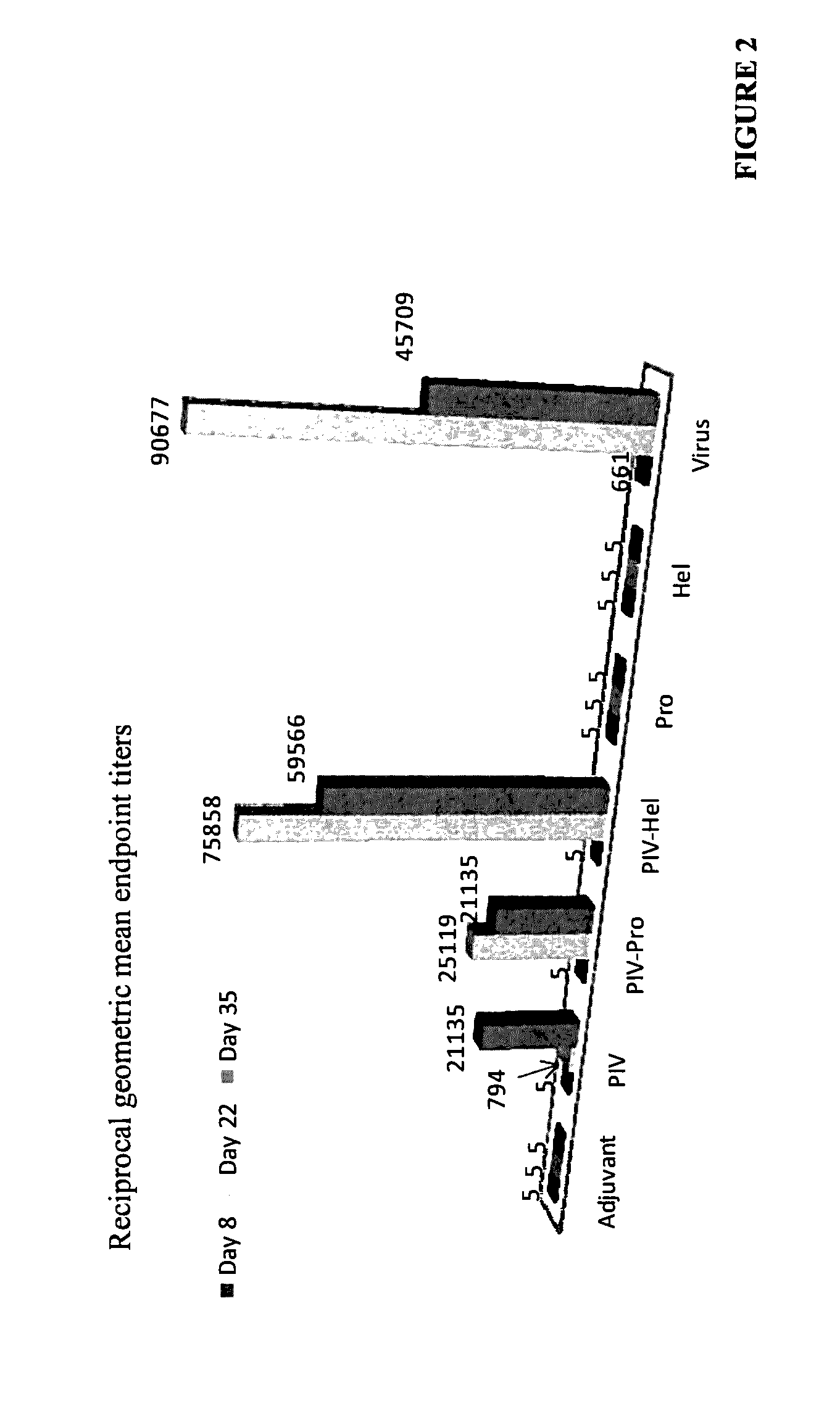 Immune Enhancing Recombinant Dengue Protein