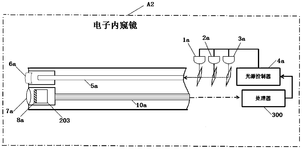 Electronic endoscope