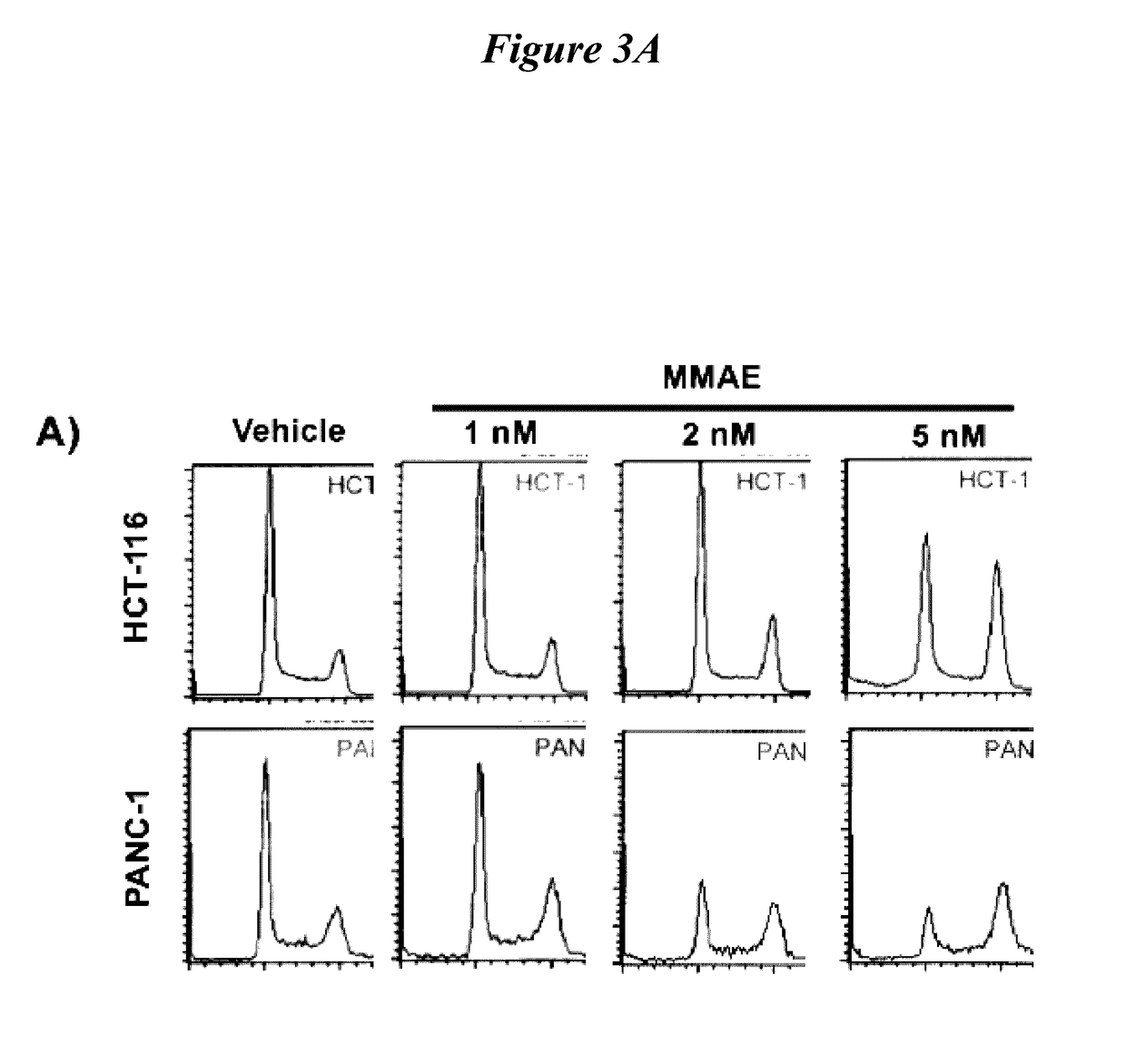 Tumor radiosensitization with monomethyl auristatin e (MMAE) and derivatives thereof