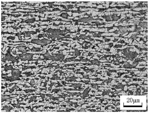 Method for producing thin gauge hot rolled dp980 steel based on csp process