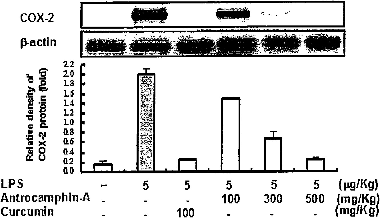 Anti-inflammatory effective component extract of antrodia cinnamomea sporocarp, preparation method and application thereof