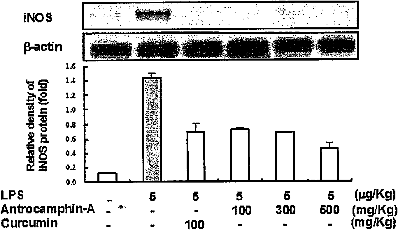 Anti-inflammatory effective component extract of antrodia cinnamomea sporocarp, preparation method and application thereof