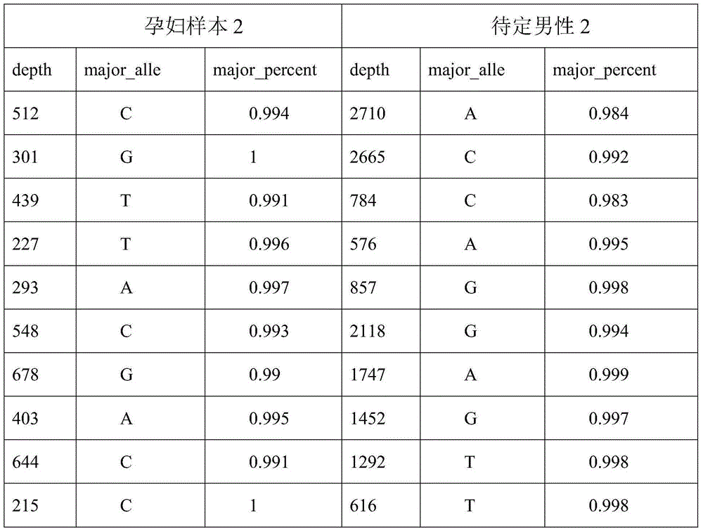 Method for judging antenatal parental right relation with SNP