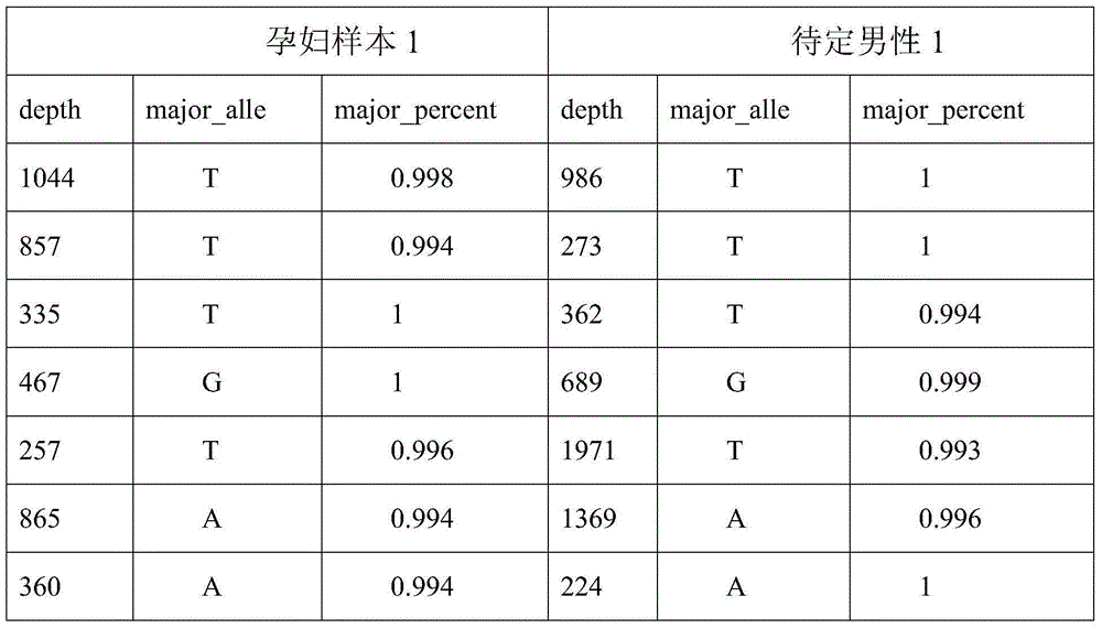 Method for judging antenatal parental right relation with SNP