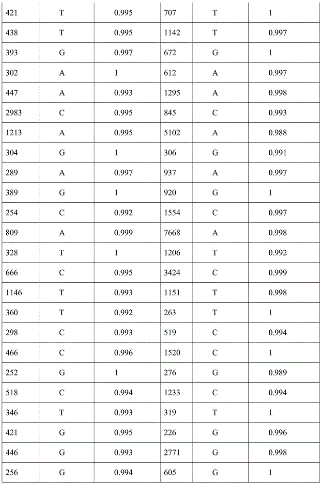 Method for judging antenatal parental right relation with SNP